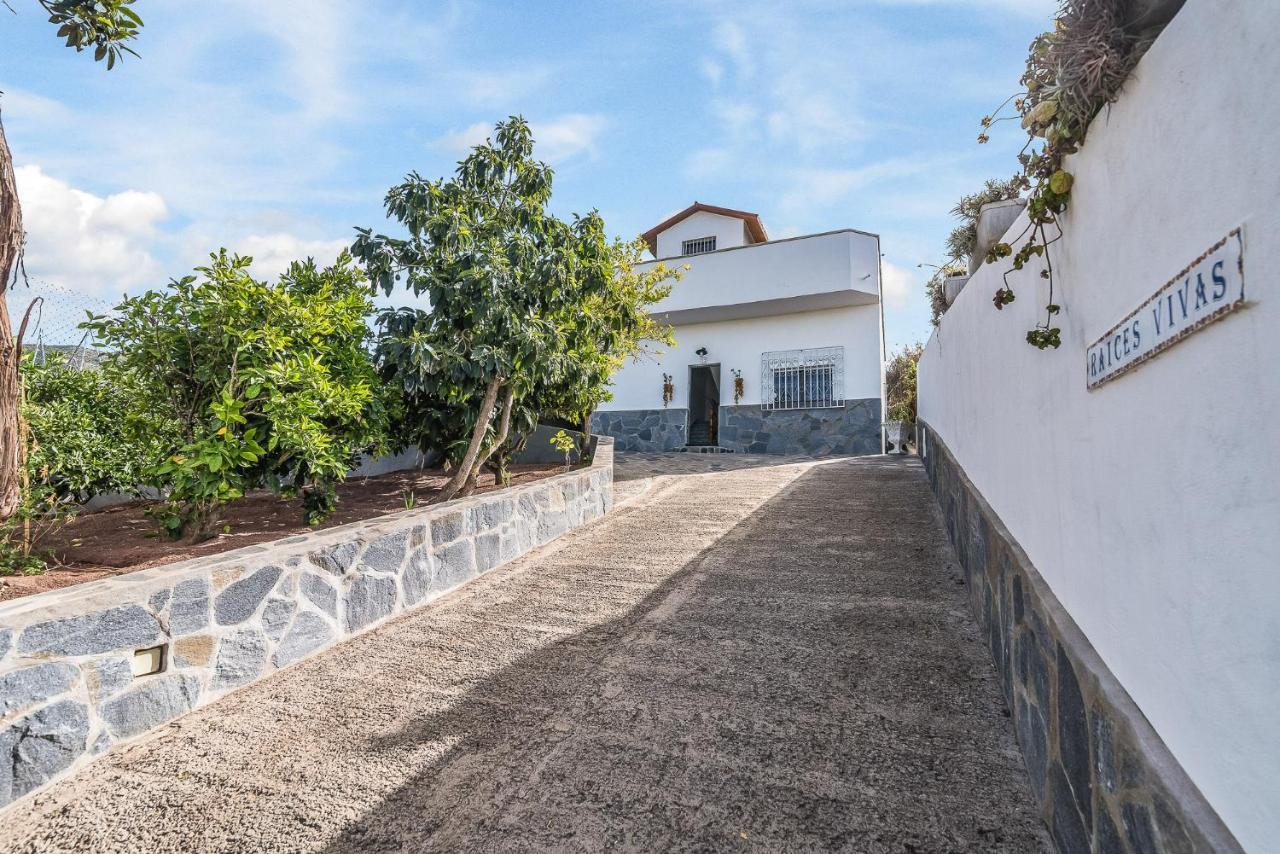 Raices Vivas Vivienda Vacacional ベガ・デ・サン・マテオ エクステリア 写真